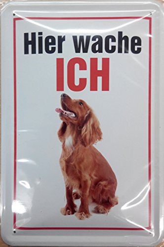 Hier wache ich Irish Setter Cartel de Chapa Placa metal curvo Nuevo 20x30cm VS3870-1