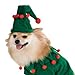 Rubies Elf Pet Costume for Dogs or Cats, Medium