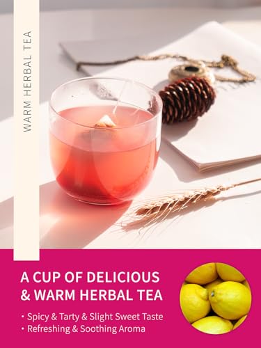 Image of TeeLux Lemon Ginger Hibiscus Tea Bags, Smooth Taste, Caffeine Free, 50 ct | Herbal Tea Blend with Lemongrass, Ginger, Hibiscus & Licorice, Fresh Lemon Aroma, Layered Tart & Spicy Notes, Hot or Iced