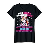 Einhorn Bruder Schwester Kindergartenabschluss