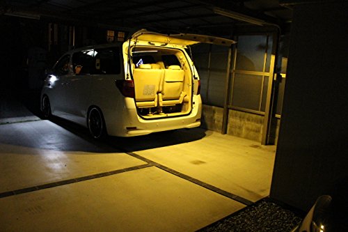 Amazon | 純正加工LEDラゲッジランプ（内装色シェル・2点セット・電球