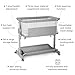 Cowiewie Bassinet Bedside Sleeper, Baby Bassinet 10 Major Functions to Meet All The Needs of Newborn Bedside Bassinets with Wheels (Grey)