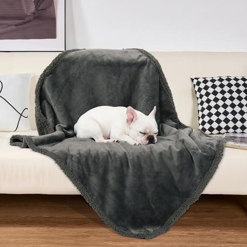 Dogat wasserdichte Hundedecke waschbar 100x80cm beidseitig verwendbare Haustierdecke für kleine und mittelgroße Hunde und Katzen Sofabezug und Bettschutz weiche Sherpa-Fleece- und Flanelldecke grau