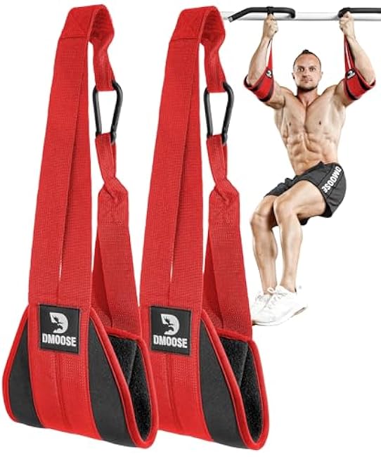 DMoose Fitness Hanging Ab Straps for Pull Up Bar & Core Strength Training - Soft Padded Exercise Straps for Ab Swing & Leg Raises, Hang Bar Strap with 2 Steel Carabiners - Abs Equipment for Home & Gym