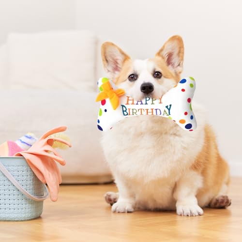 Pluvyze Hunde Geburtstag,Hundespielzeug Geburtstag,Hund Geburtstag, Haustier-Hundekuchen-Knorpelspielzeug Geburtstagsgeschenke für Kleine und Mittelgroße Hunde