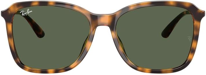 Óculos de Sol Ray-Ban RB4417L Unissex