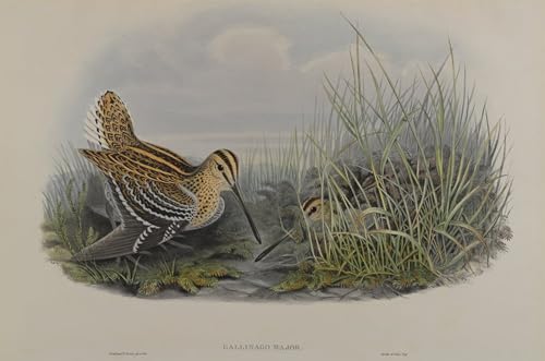 Peinture pour la décoration de la chambre à coucher avec grand tableau oiseau 60x90