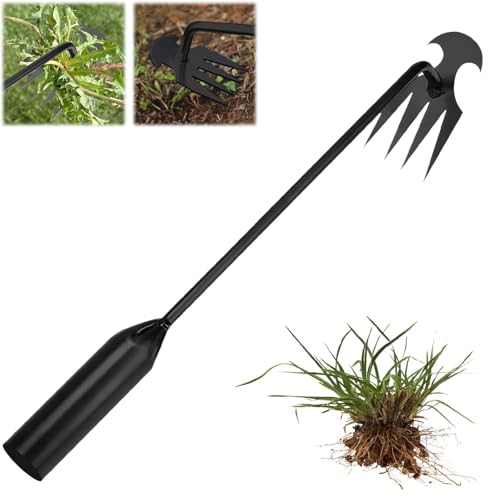 ZVD Sarchiatore Manuale,Sarchiatore per Orto,Sarchiatore per Erbacce,Attrezzi per Diserbo, Earchiatore per Erbacce Professionale, Estirpatore Erbacce Manuale (Nero 30/50cm) (50CM)