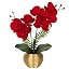A|red