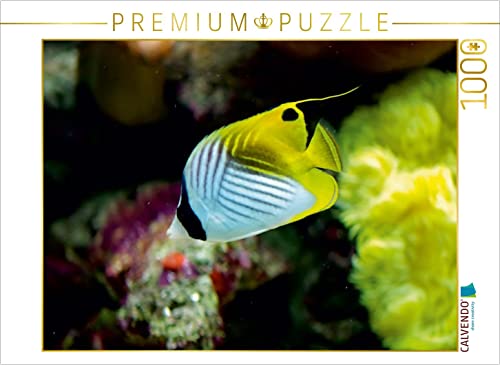 Puzzle de 1000 pièces Poissons colorés CALVENDO pour adultes