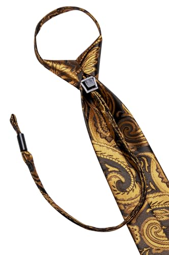 Image of Hi-Tie Zipper Ties for Men Pre-tied Tie Set Lapel Pin Pocket Square and Cufflinks Formal Business Wedding Adjustable Necktie