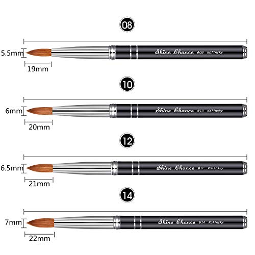 Shine Chance of Size 8/10/12/14 Kolinsky Hair Acrylic Brush for Artificial Nail Fashioning with Two Lines Black Handle (#14)
