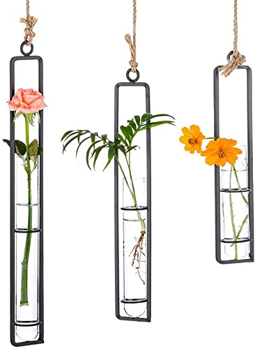 Aerial Hydroponische Vase, VaseHängende Hydrokulturvase, Hängender Behälter für Wasserkultur, Wandbehang Pflanzen Glasvasen Hängende Betriebsdekoration im Wohnzimmer Garten, Schwarz Cover