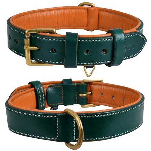 Image of Genuine Leather Dog Collar, Green, Extra Large, Brass Buckle, Padded | 1.5 Inch Wide, Fit Neck Size - 22 inch - 26 inch, Double D Ring, Adjustable, Thick Leather, Heavy Duty, Soft Leather padding