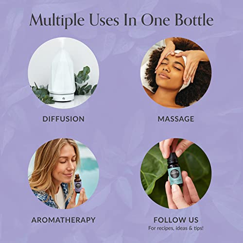 Edens Garden Lavender- French Essential Oil, 100% Pure Therapeutic Grade (Undiluted Natural/Homeopathic Aromatherapy Scented Essential Oil Singles) 10 Ml #TOP3