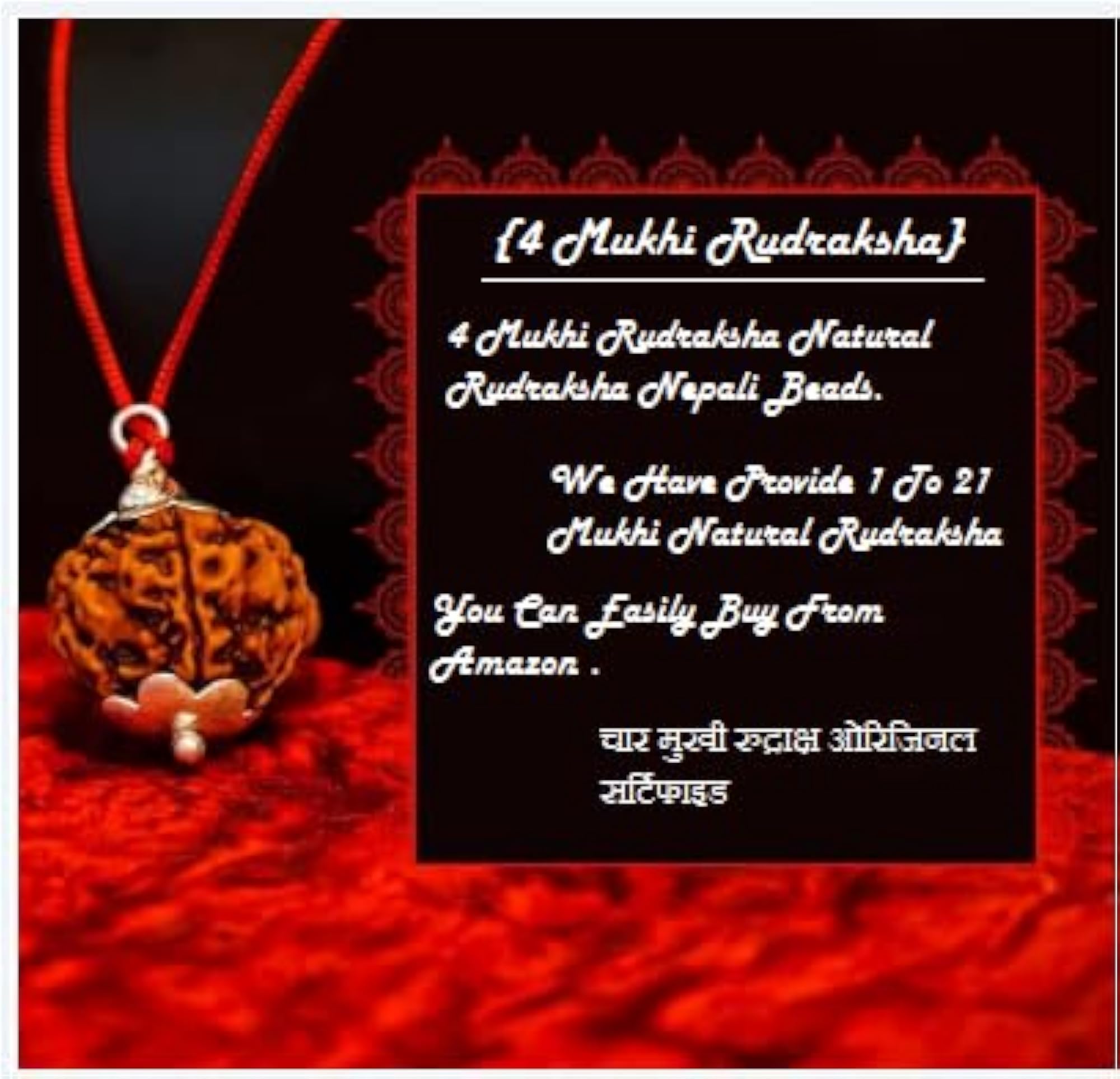 Natural Four Face Rudraksha from Nepal, IGL Certified