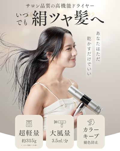 Q+ ( クオリタス ) Q+ クオリタス ドライヤー 速乾 ヘアドライヤー 大風量 軽量 コンパクト マイナスイオン マグネット式ノズル付き の商品画像 1