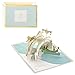 Hallmark Signature Paper Wonder Pop Up Love Card, Because I Have You (Birthday Card, Anniversary Card, Sweetest Day Card)