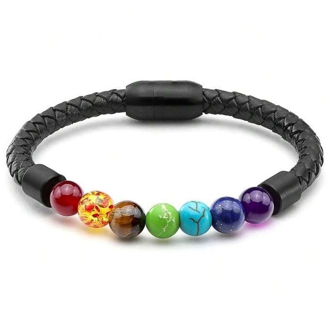 Brizberry® Titanium Steel Vegan Leather Micro Insert Beaded Bracelet for Brother Friend Men & Boys, Diwali Bhaidooj (Vibgyor) (B0CSYXJ7XZ) Amazon Price History, Amazon Price Tracker