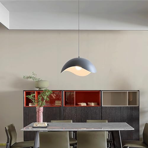 Lustre en fer E27 pour remplacer un plafonnier classique daté - 5