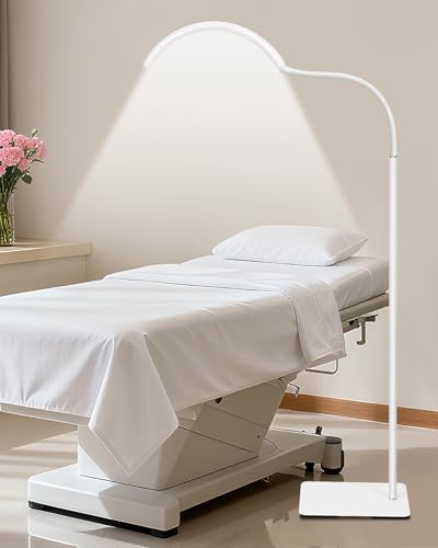 Image of Half Moon LED Floor Light - Professional Shadow-Free, Dimmable Lamp | for Lash Techs, Estheticians & Tattoo Artists | Eyelash Extensions, Nail Art, Home & Office (Charcoal White)