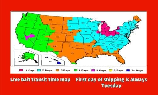 Generic Big Canadian Nightcrawlers for Fishing by US Worm Supply Live delivery Guaranteed by Worlds Largest Supplier of Live Bait., neutral