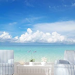 signwin Wall Mural Sunset Sunrise Background Nature Scenery...