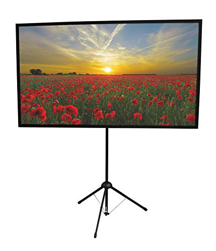 GO-70 Portable Projector Screen | 70 inch | Mounts on Tripod AND Wall | 16:9 format | 9 lbs | 2 minute setup | Includes Carrying Bag | For Mobile presentation and Home Entertainment |4K Ultra HD ready