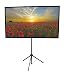 GO-70 Portable Projector Screen | 70 inch | Mounts on Tripod AND Wall | 16:9 format | 9 lbs | 2 minute setup | Includes Carrying Bag | For Mobile presentation and Home Entertainment |4K Ultra HD ready