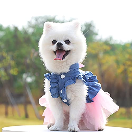 Harikaji Pet Clothes, Sweet Bowknot Small Dog Skirt Girl Tutu Clothing Puppy Cat Sleeveless Apparel Teddy Clothes Wedding Dresses For Spring And Summer (M) #TOP3