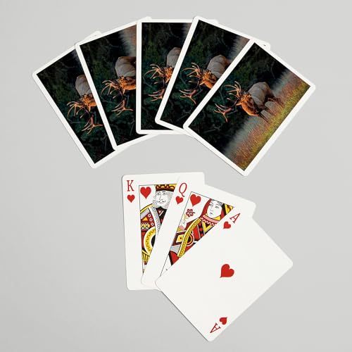 Lantern Press naipes de póker para adultos, 52 cartas miniatura 7