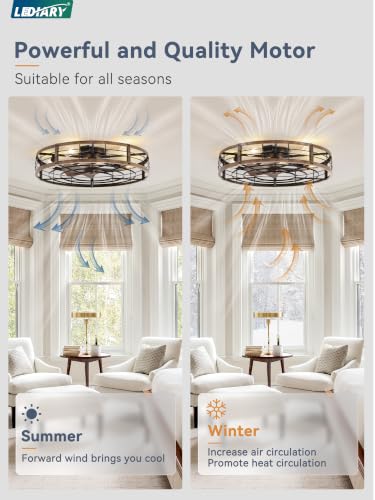 Image of LEDIARY 30 inch Caged Low Profile Ceiling Fan with Light and Remote Black Gold