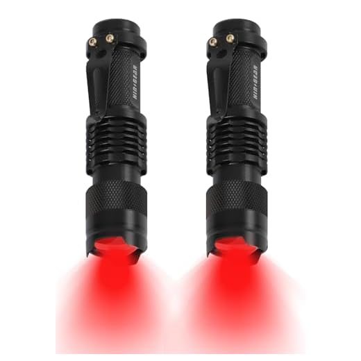 HinsGEAR 2 Pack Red Flashlight LED Single Mode Light 1 Mode LED Torch Scalable Red Light Flashlight for Astronomy Aviation Night Observation