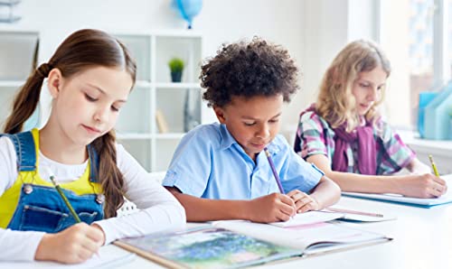 Ecotree Pencils #2 Hb, Pre-Sharpened Pencils With Eraser Number 2 Pencils Cute Pencils Graphite Pencils Sketch Pencils Birthday Pencils Sharpened Pencils For Kids, School, Office 12 Pack #TOP1