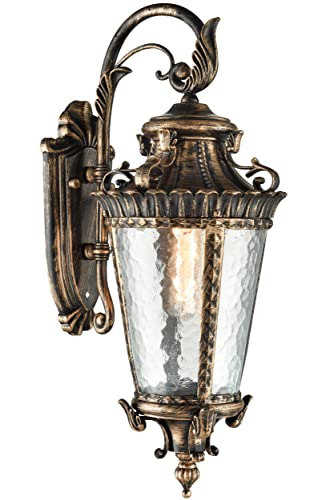 SAMTEEN Vintage Bronze Outdoor Wall Light Fixtures with Water Glass