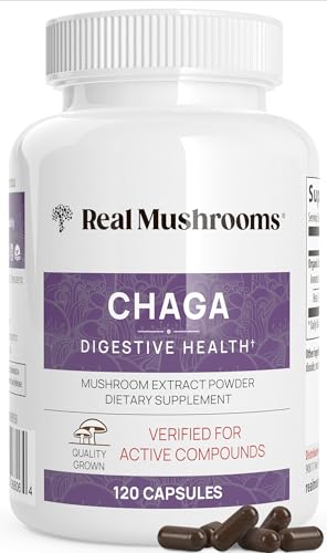 Chaga Extract Mushroom Supplement review