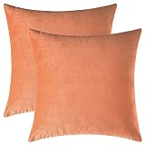 Mixhug Set of 2 Cozy Velvet Square Decorative Throw Pillow Covers for Couch and Bed, Pale Coral, 18