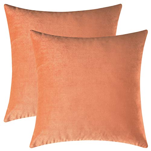 Mixhug Set of 2 Cozy Velvet Square Decorative Throw Pillow ...