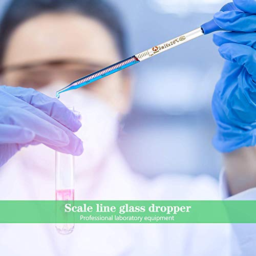 Hoaoh 6 Pieces Glass Pipettes 10Ml 5Ml 3Ml 2Ml 1Ml 0.5Ml Glass Graduated Dropper Pipette For School, Students, Transfer For Liquid Essential Oil #TOP7