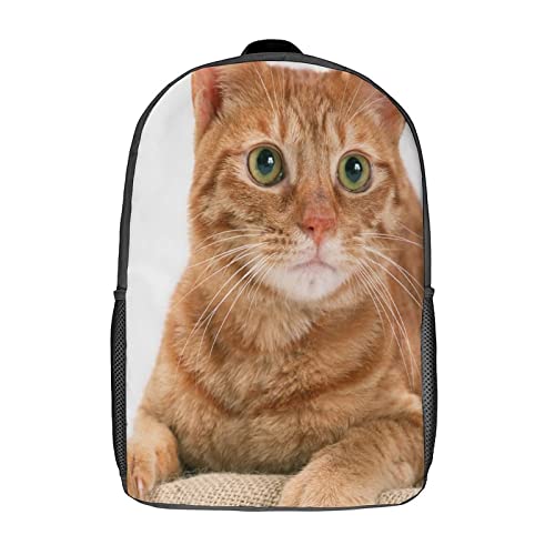 Cartable enfants chat sac à dos unisexe 17 pouces imprimé 3D grand format étudiants