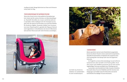 Oh Happy Dog!: Alles für ein glückliches, gesundes und nachhaltiges Hundeleben