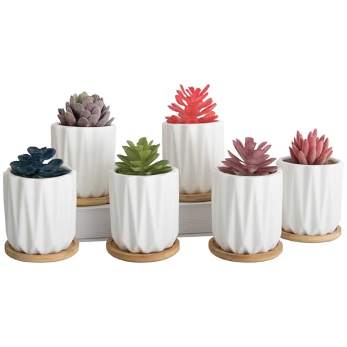 ARTKETTY Succulent Plant Pots - 8 CM White Small Plant Pots with Drainage Trays, Ceramic Pots for Indoor Plants, Pack of 6 - Cactus Flower Pots Decorative Garden Home