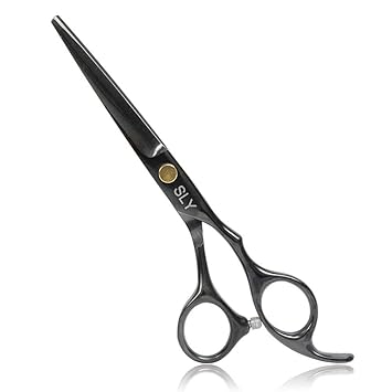 Professional Hair Cutting Scissors, Japanese Stainless Steel Salon Haircut Scissors, 6.5