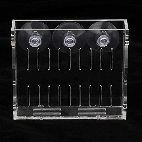 Acrylic Aquatic Plant Cup Grass Holder Aquarium Fish Tank Plants Pot #TOP4