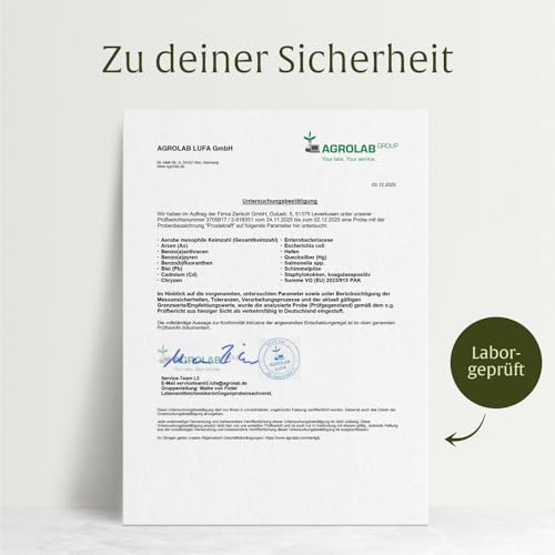 NATURTREU® Prostakraft - 120 vegane Kapseln hochdosiert mit Sägepalmenextrakt (301 mg), Brennnessel, Kürbiskern mit Vitamin E, Zink, Selen - 2 Monatsvorrat