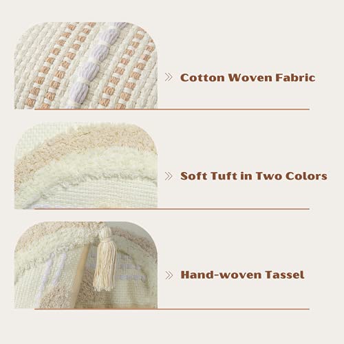 Blue Page SQ1117-CREAM-50X50 Decorative Throw Pillow Cover thumb #5