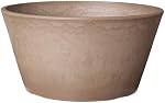 Arcadia Garden Products PSW Pot TD25TP Collection Shallow Bulb Pan Planter for Succulents, Bonsai, Fairy Gardens, Herbs, 10-inch, Taupe