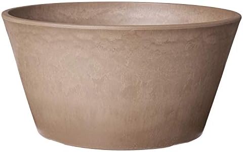 Arcadia Garden Products PSW Pot Collection Shallow Bulb Pan Planter for Succulents, Bonsai, Fairy Gardens, Herbs, 10-inch, Taupe