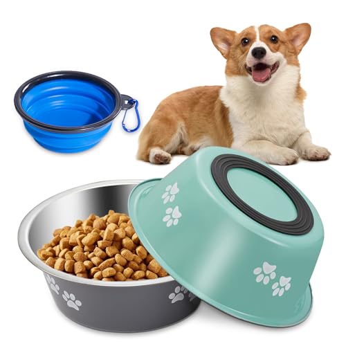 Hundenapf Edelstahl 2 Stück, 860 ml Metall Rutschfester Futternapf Hund mit Silikonboden, Wassernapf Fressnapf Napf mit Reisenapf Hund für Mittlere und Kleine Hunde