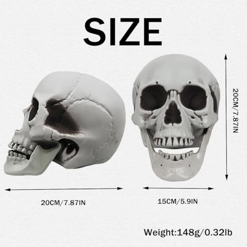 MOKRY PARTY Life Size Skeleton Skull for Halloween Decor Graveyard Outdoor White4